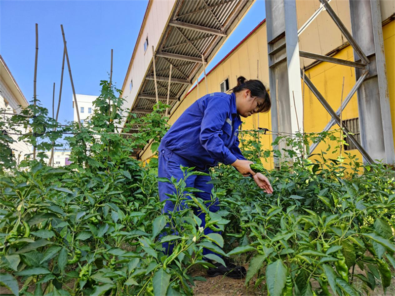 微信图片_20230828152236.png 微信图片_20230828152236.png